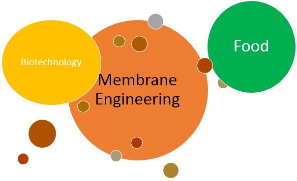Special Issue: Progress in Membrane Engineering for Food and Biotechnology Industries